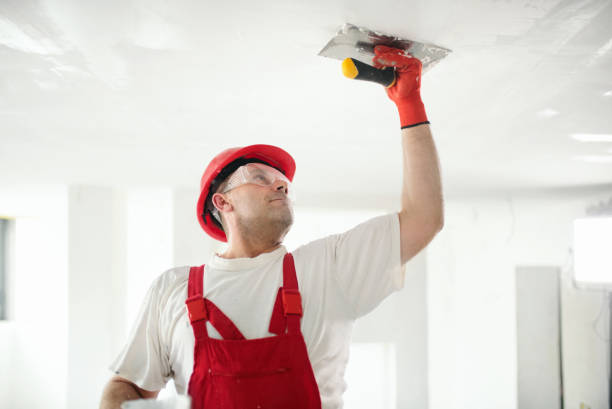 Best Trim and Molding Painting  in Petersburg, MI